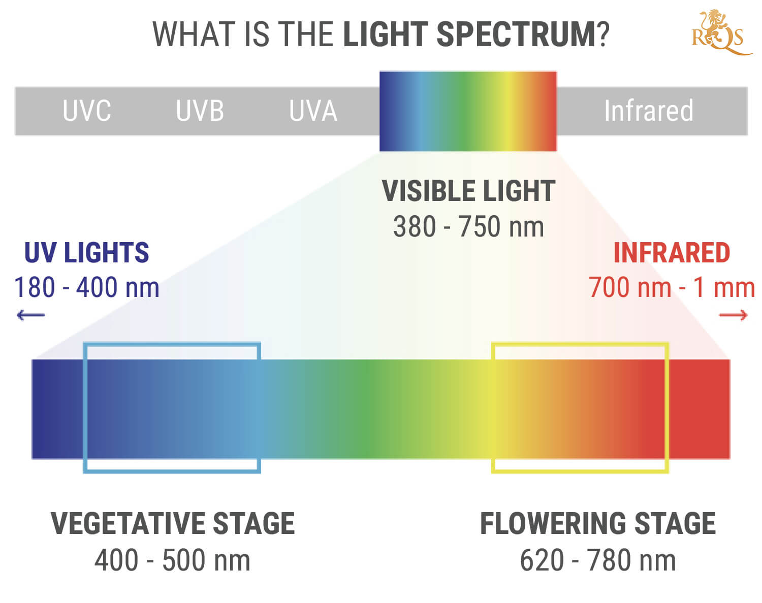 Best light spectrum store for seedlings